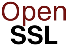 Open SSL Logo
